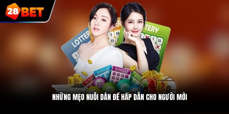 Những mẹo nuôi dàn đề  hấp dẫn cho người mới