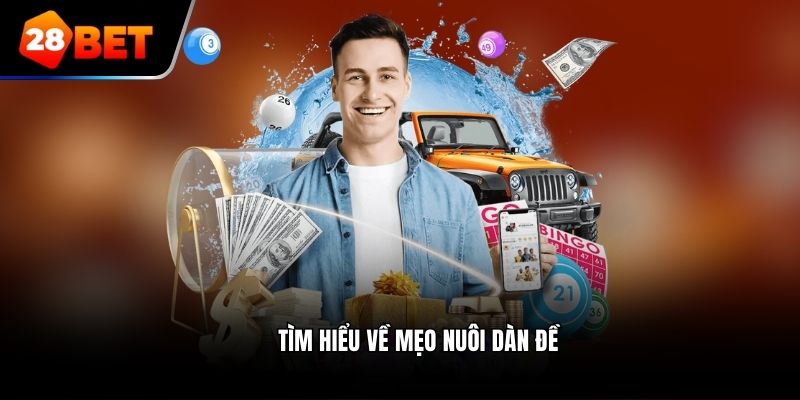 Tìm hiểu về mẹo nuôi dàn đề